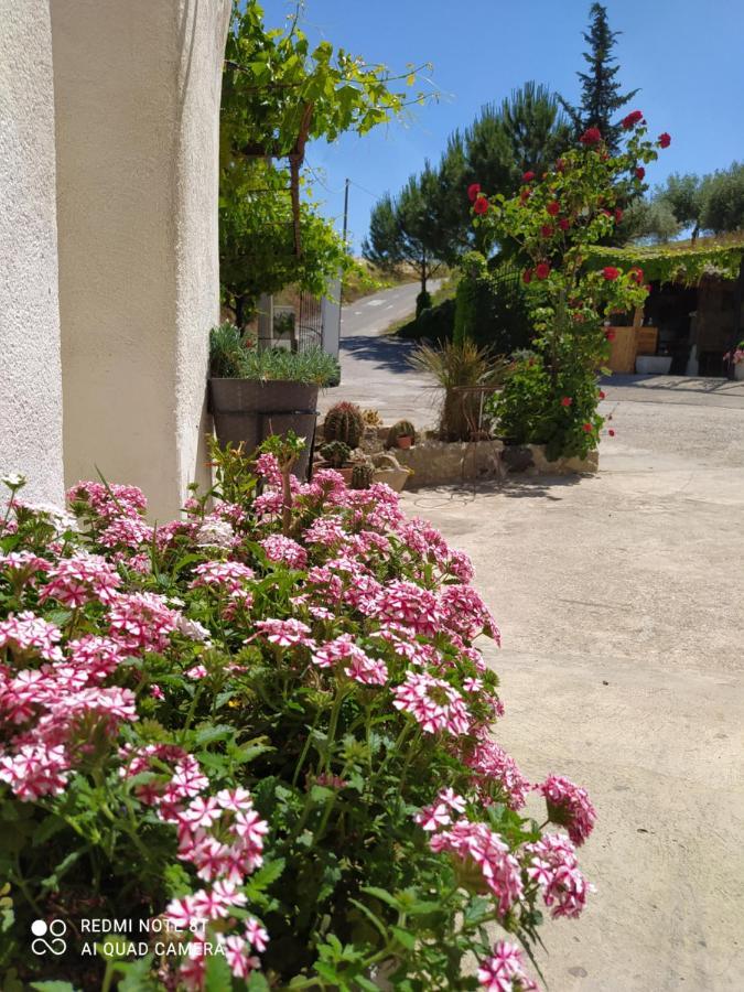 B&B Troisi Racalmuto Esterno foto